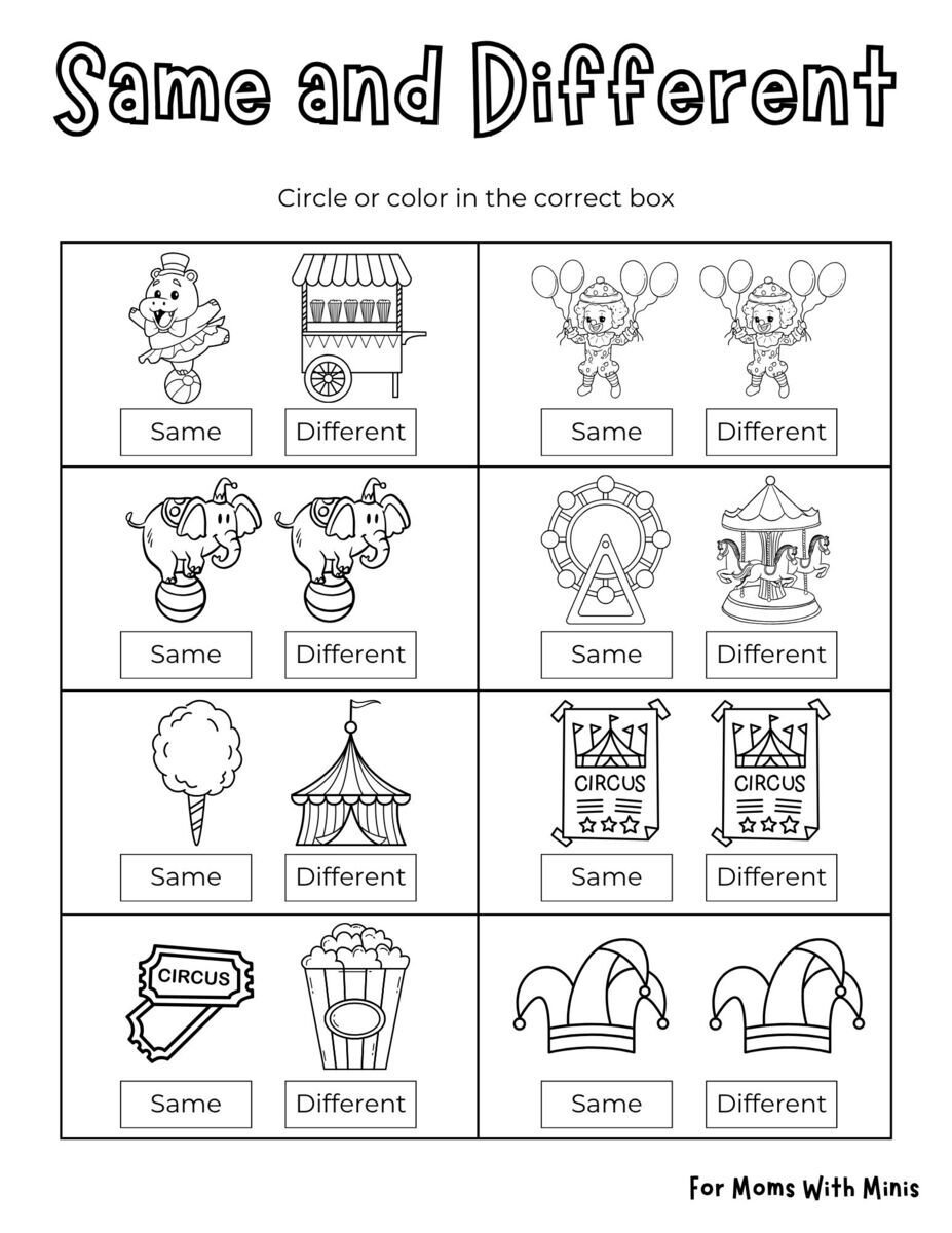 Circus-Themed Same and Different Worksheet