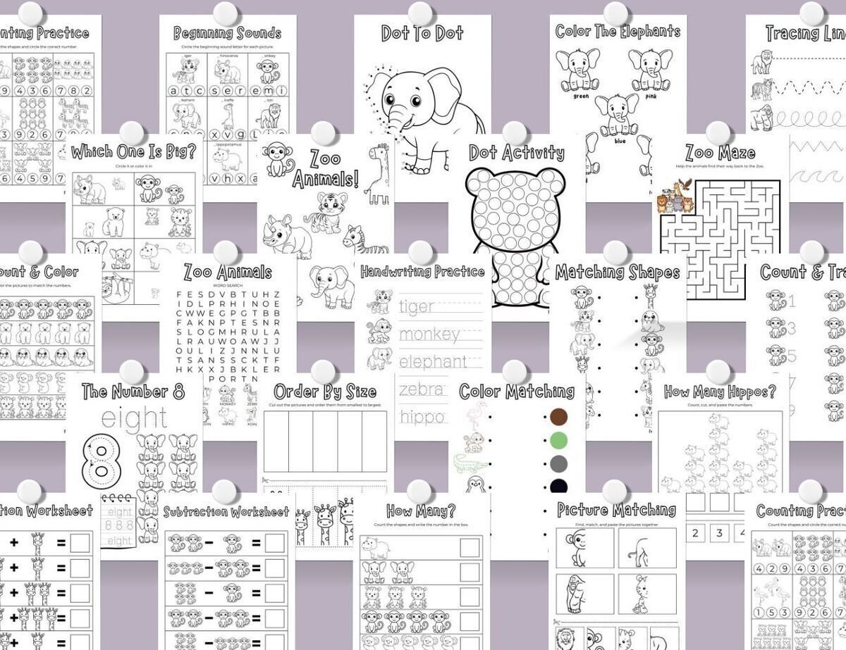 Zoo Animal Workbook for Kids