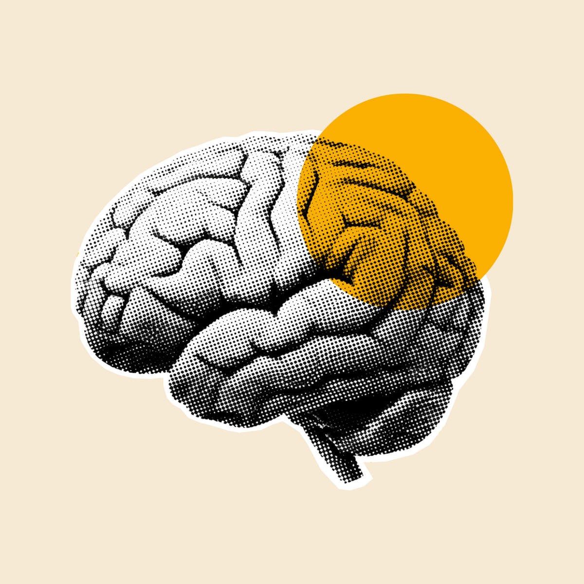 🧠 Humans are not creatures