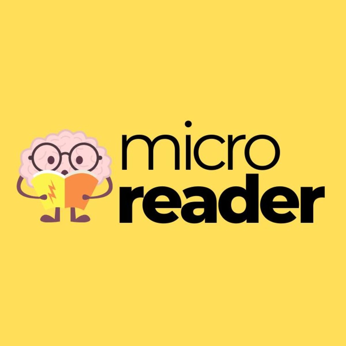 MicroReader