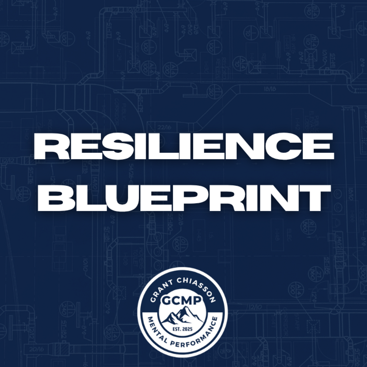 Resilience Blueprint