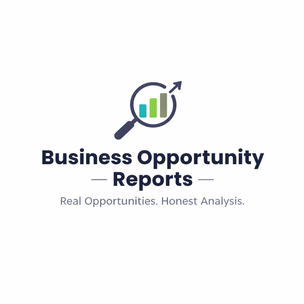 Business Opportunity Reports