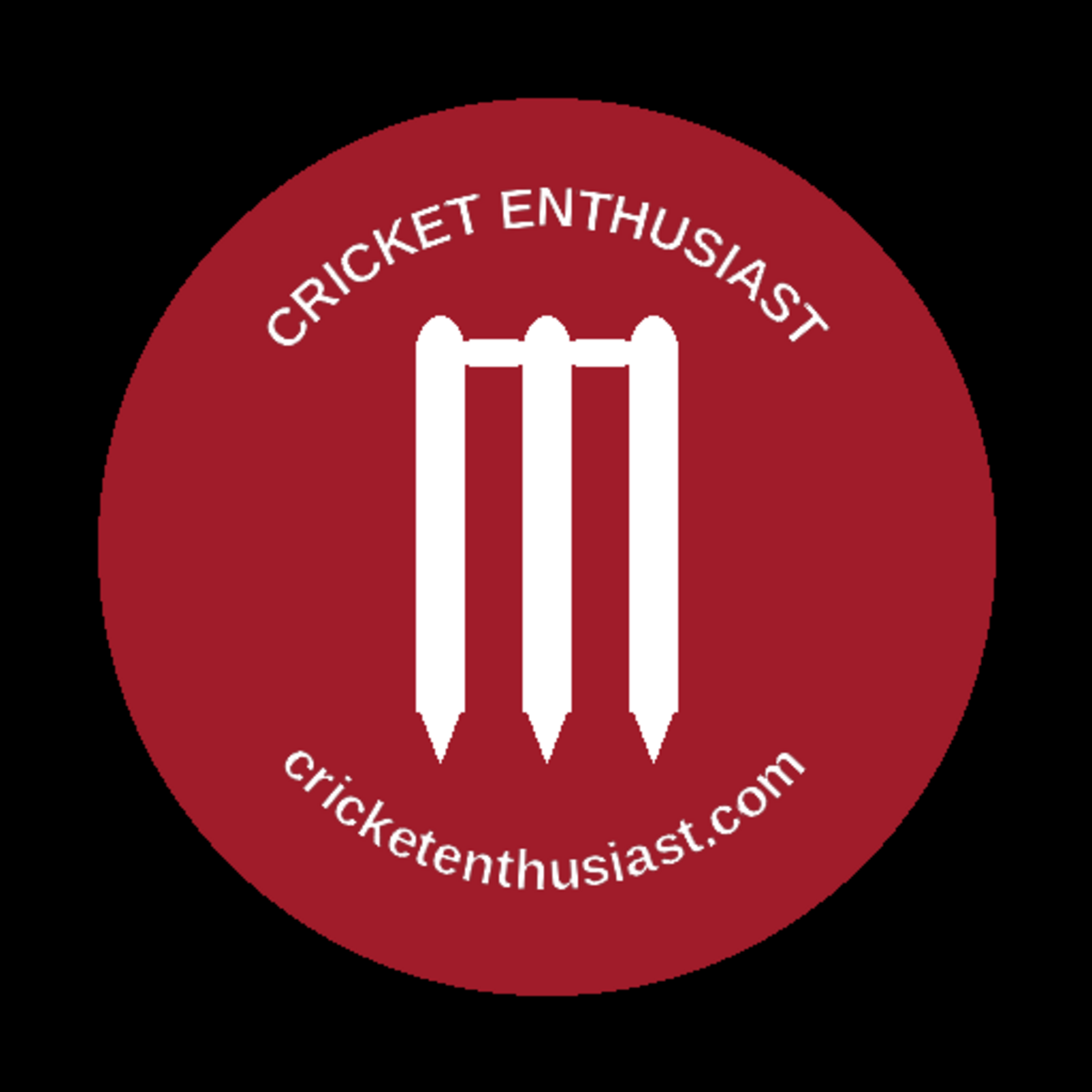 Cricket Enthusiast