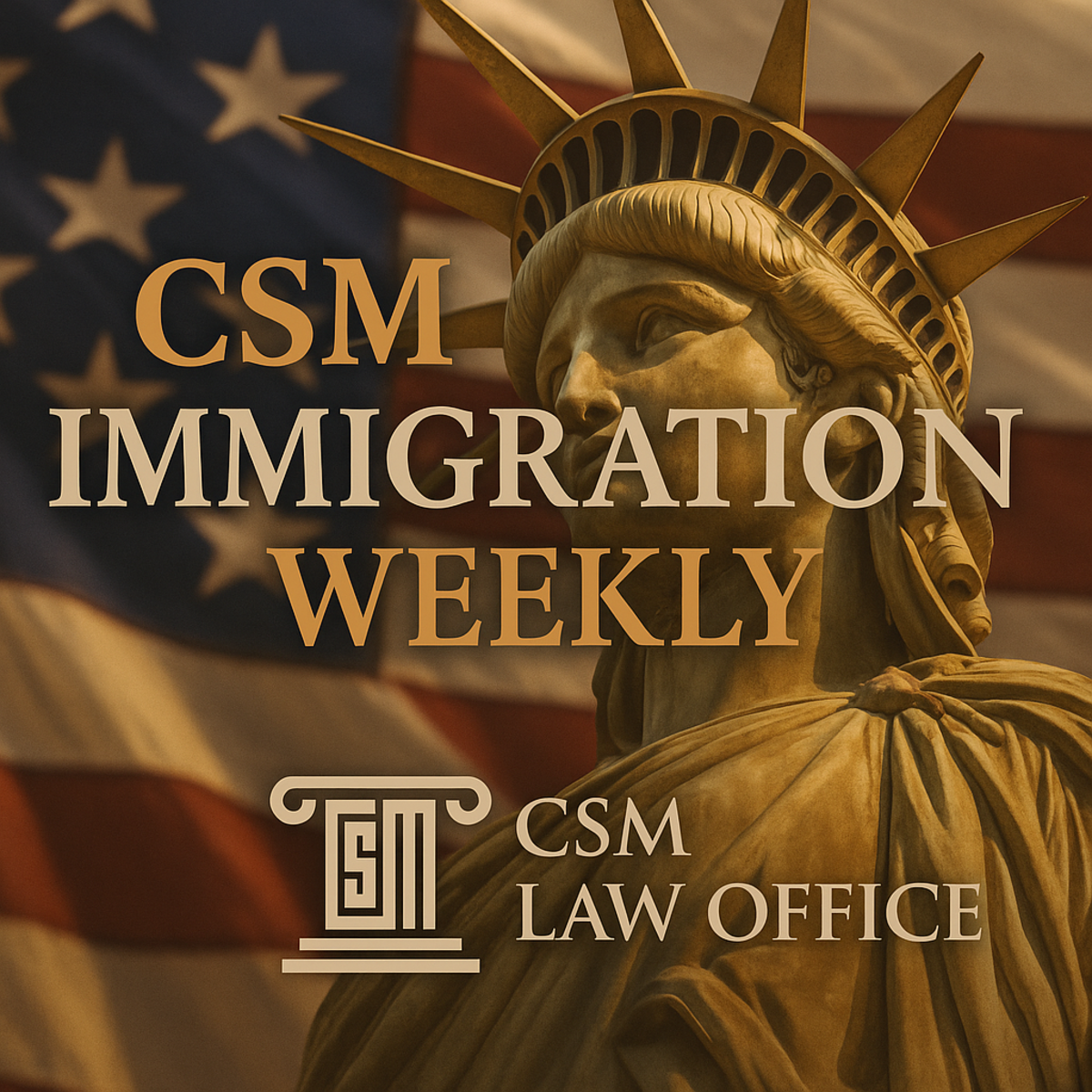 CSM Law Office's Newsletter