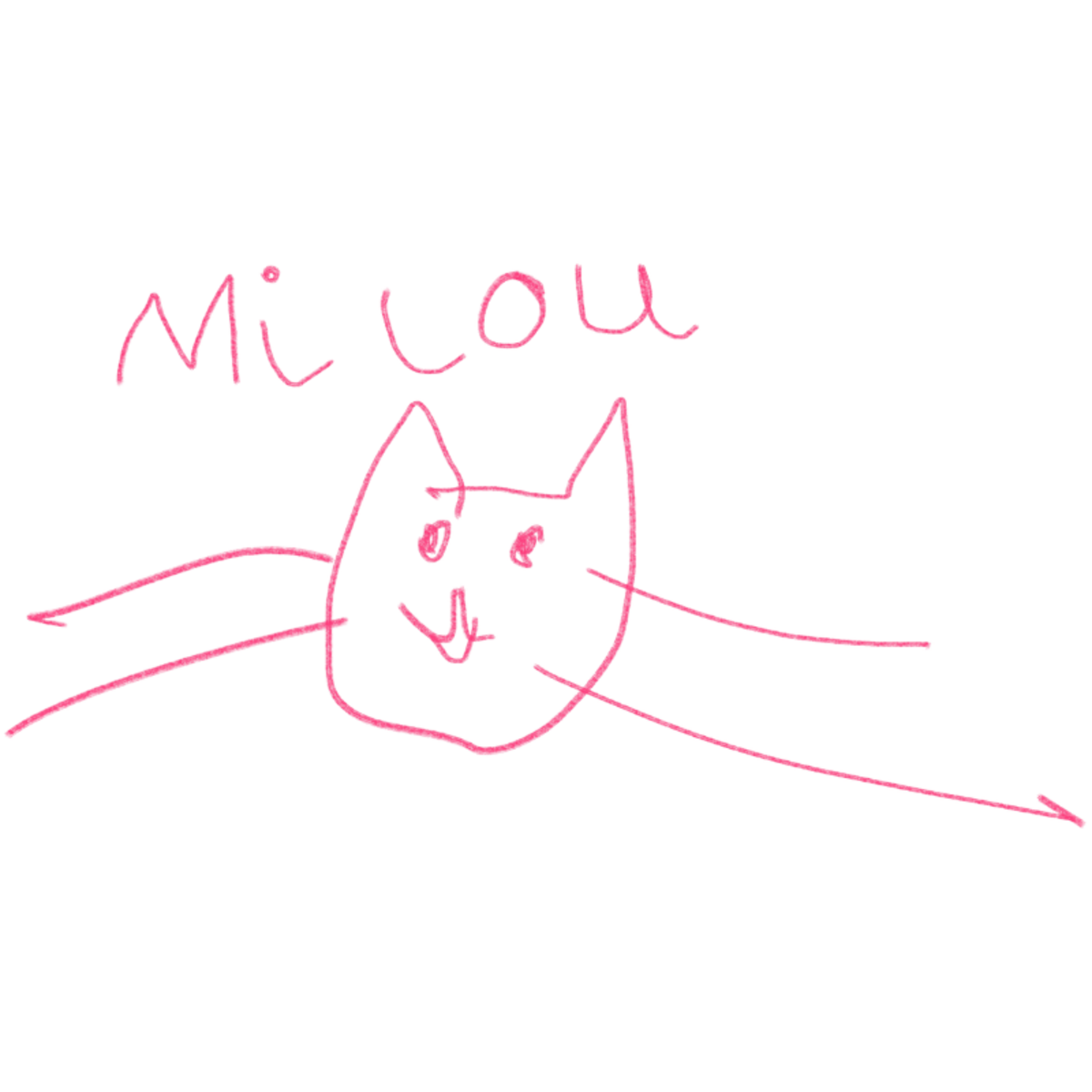 Milou Cat