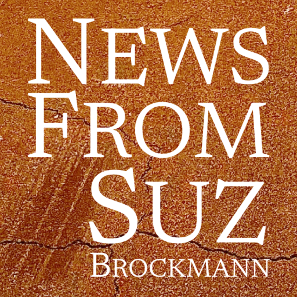 News from Suz Brockmann