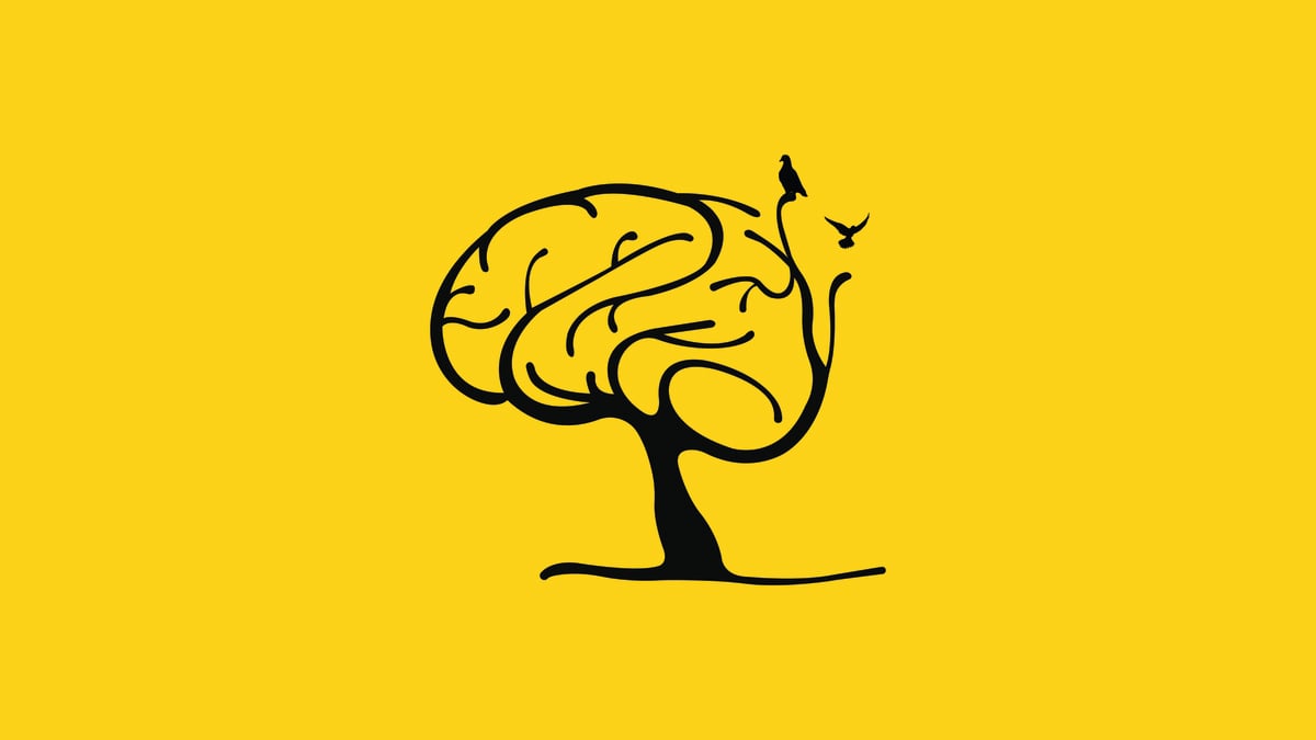 Better Life Tuition - Newsletter