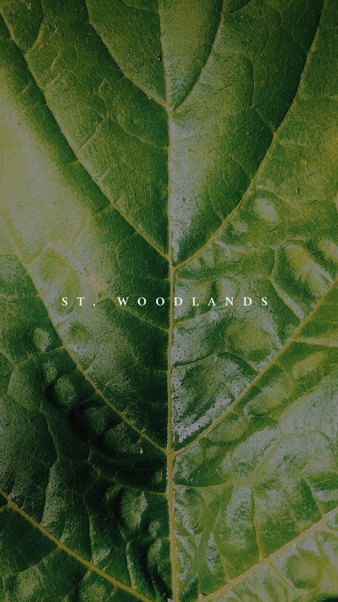 St Woodlands