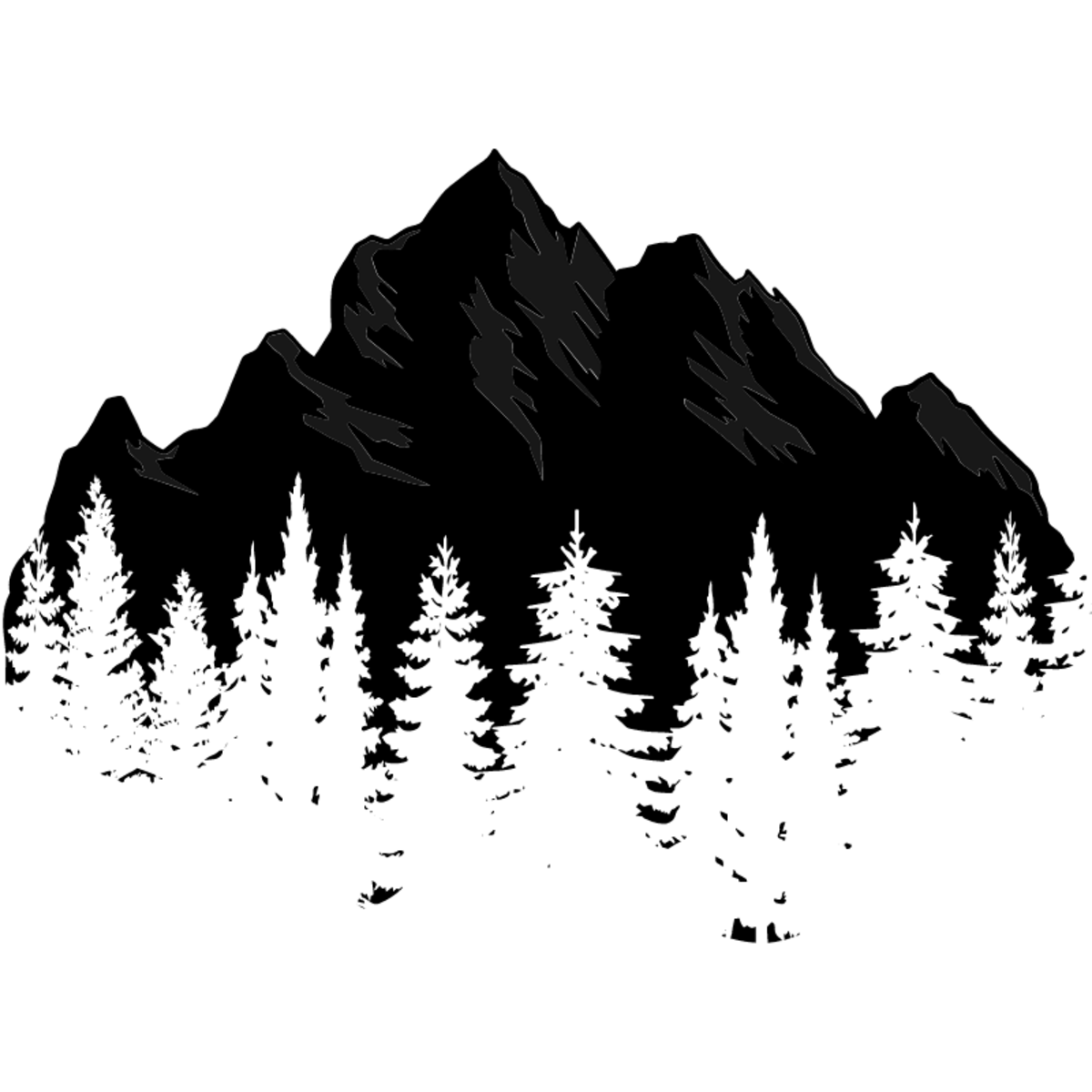 Total Outdoor Experience