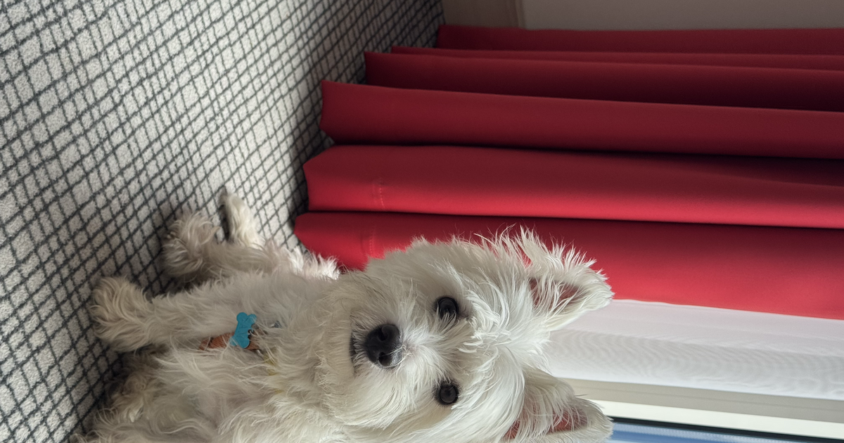 The park bench index