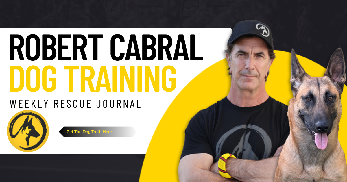 Last Day - Puppy20 Discount expiring tonight