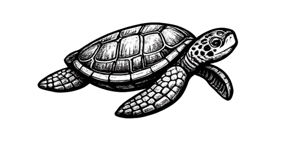 Aloha! Welcome to The Barefoot Brief: Maui