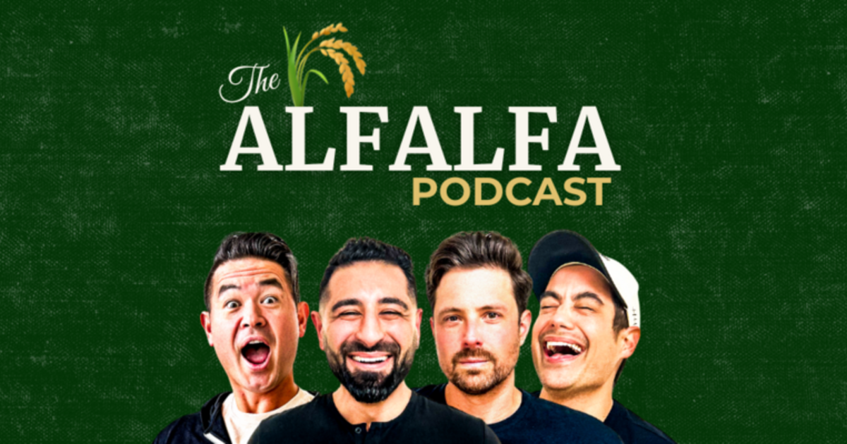 Are Meme Coins Legitimate Investments?