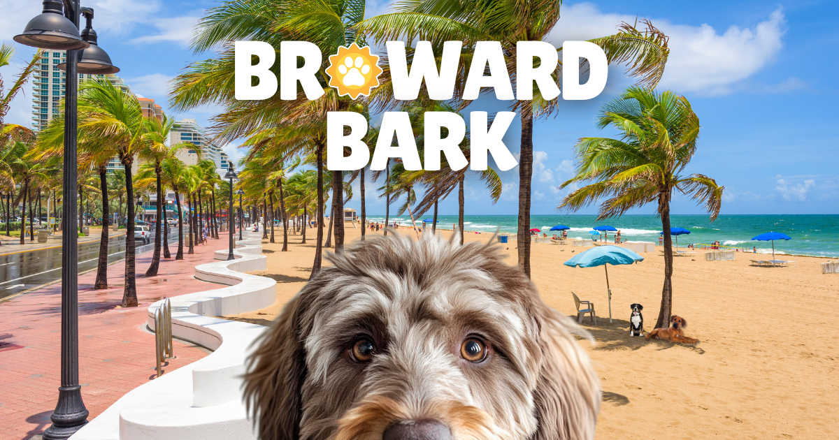 🐕 Turkey, treats, and tail wags