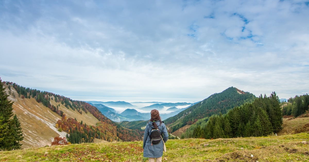 Sign Up & Stay Tuned