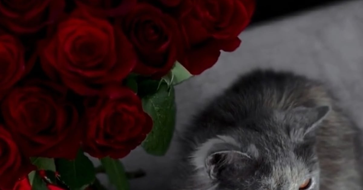 The Fork in the Road: Bravery vs. Comfort