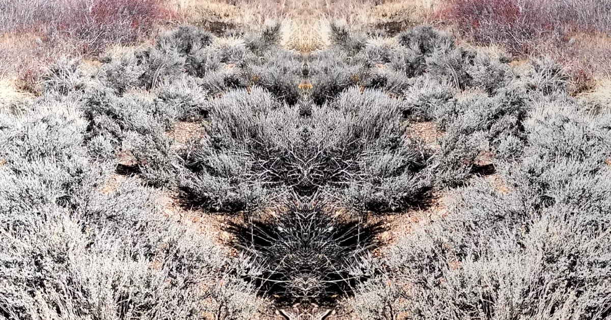 Exciting preparation!