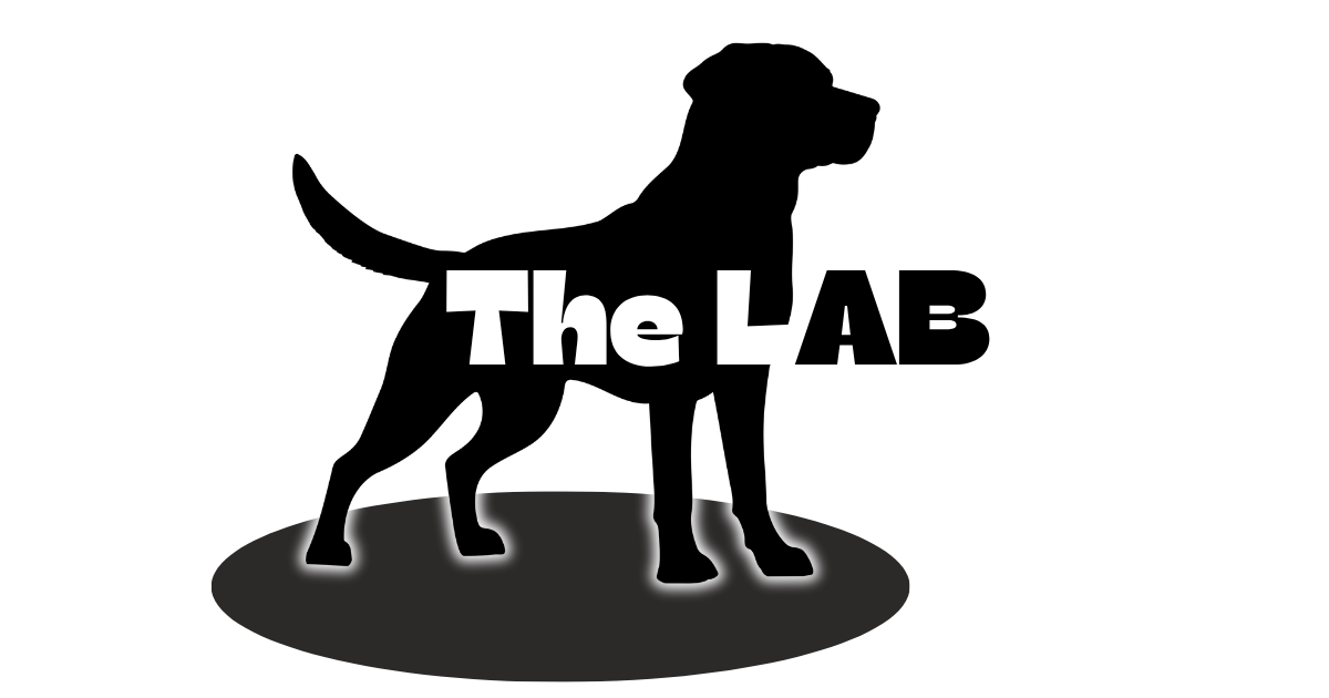 The LAB #23 🐾
