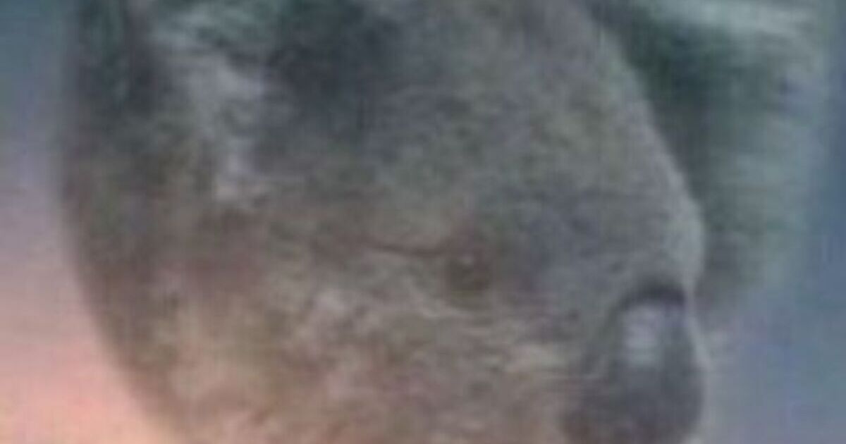 Please stop messing with the courts