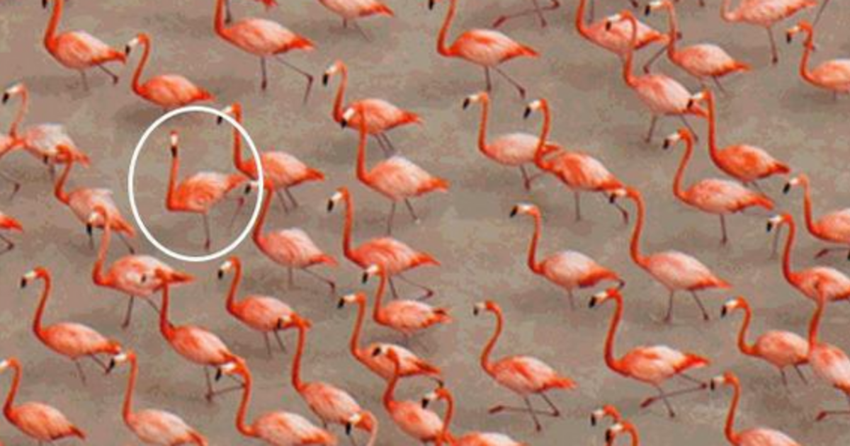 Résolution de l’ONU personnelle anti chant de Noël de Mariah Carey : un échec cuisant