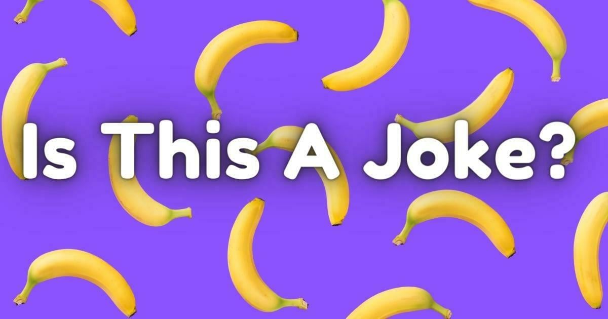 AI Bro May Be Conscious