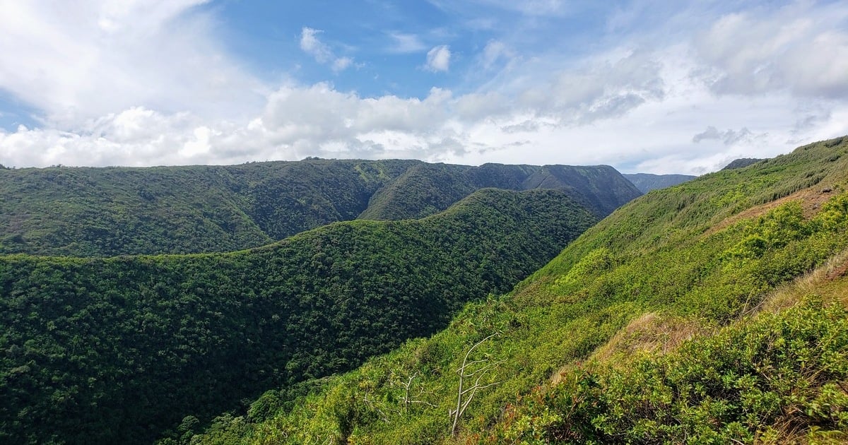 Trusting the Unknown