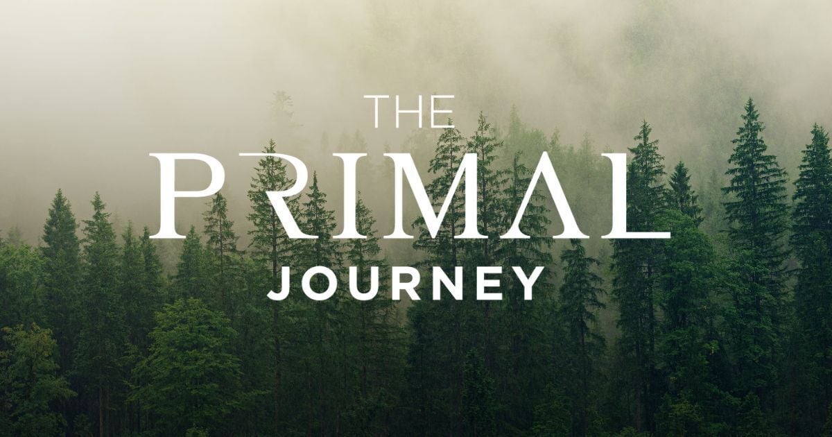 Mouth Breathing is a Modern Adaptation