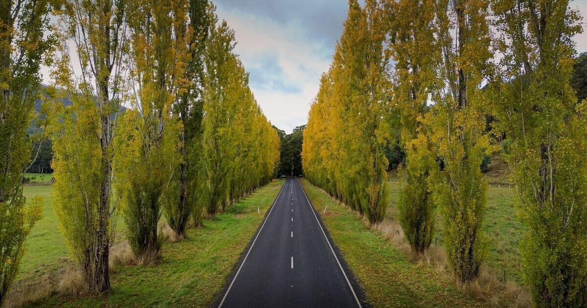 The Secret Growth Marketing Opportunities that cost small to medium businesses millions each year.