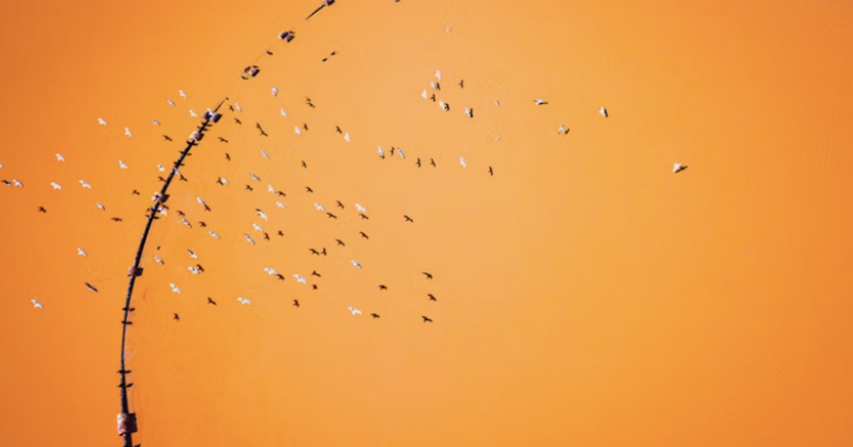 Three Take Aways From Building a Community From Scratch 