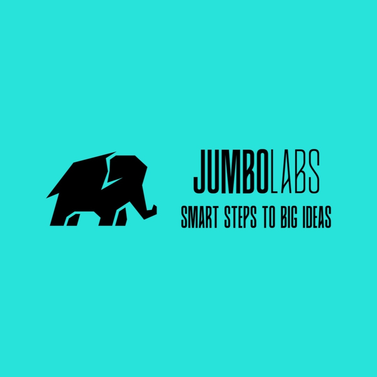Jumbo Labs