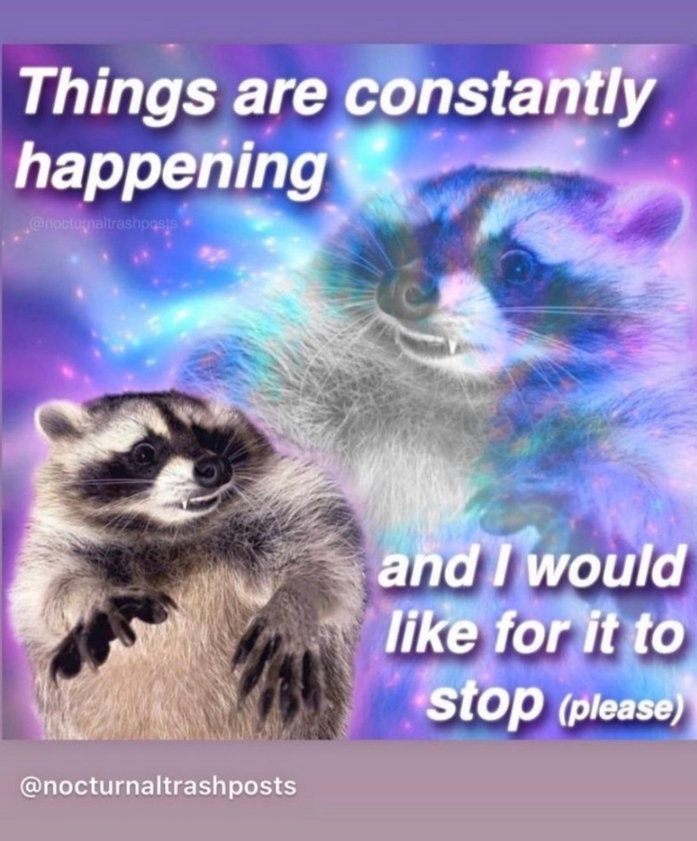Racoon revised