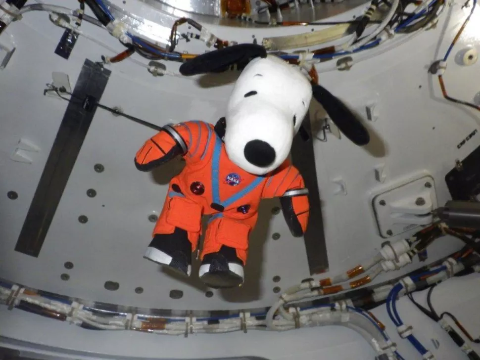Snoopy!