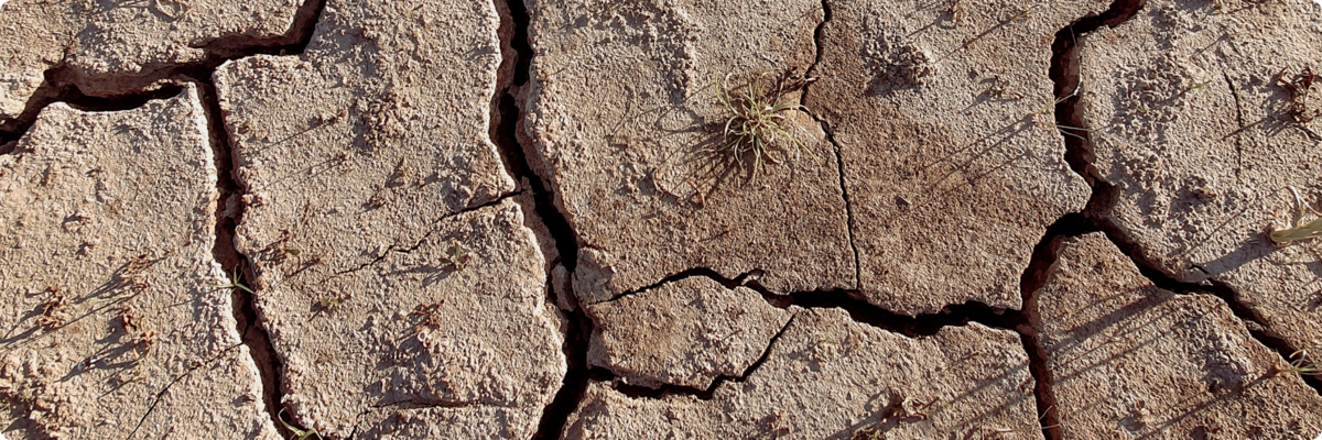 The U.S. could see a new 'extreme heat belt' by 2053