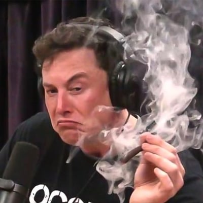 MuskTrolling