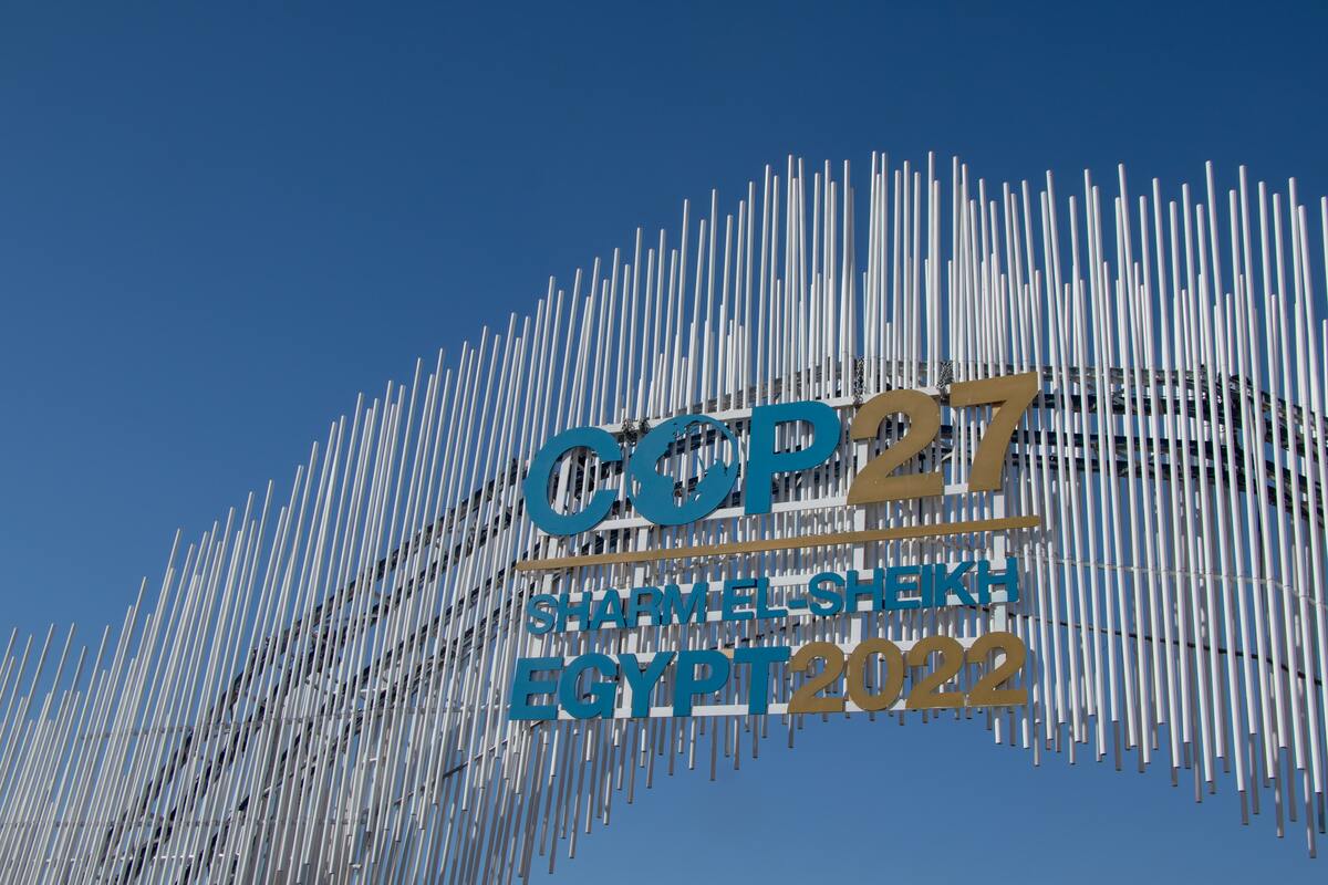 COP 27 logo