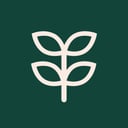 Dinner Table Discussions