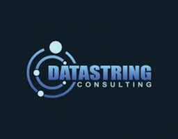 DS Consulting