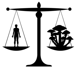 Mycopreneur Newsletter