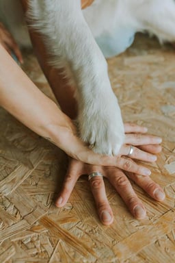 Rachel @woofya.com
