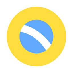 The Brazilian Report