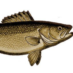 WalleyeBITE