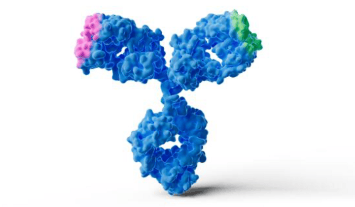 Merck strikes back against the Duggan empire (Summit Therapeutics)