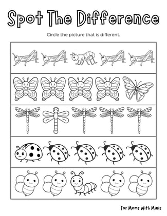 Insect Spot The Difference