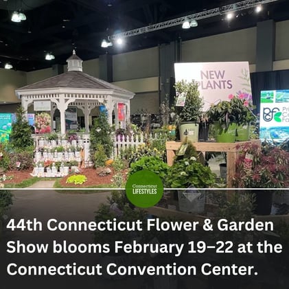 🎉Celebrate Lunarfest, Winter Fest & Matilda in CT