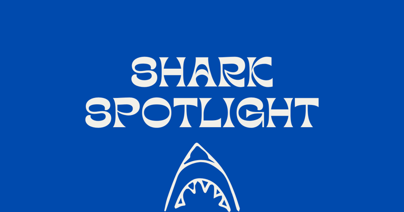 Shark Spotlight