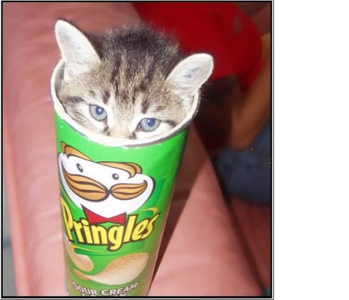 Relationship advice from a single pringle ( PART 2)