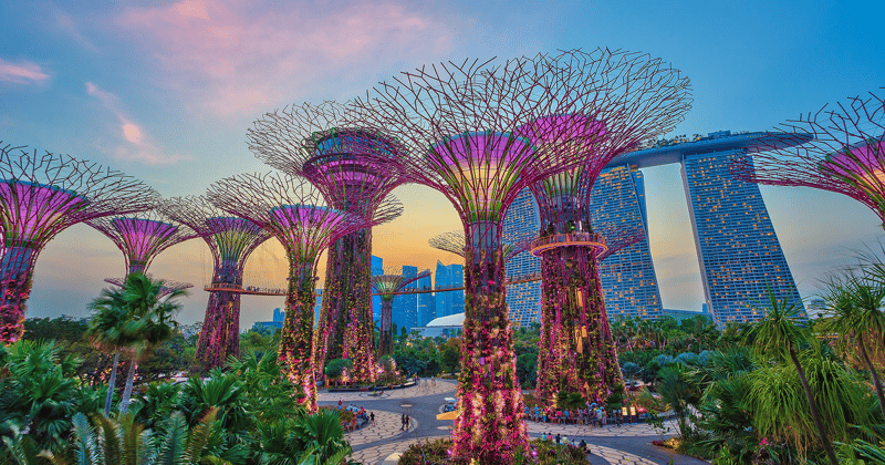 Fly Business Class to Singapore