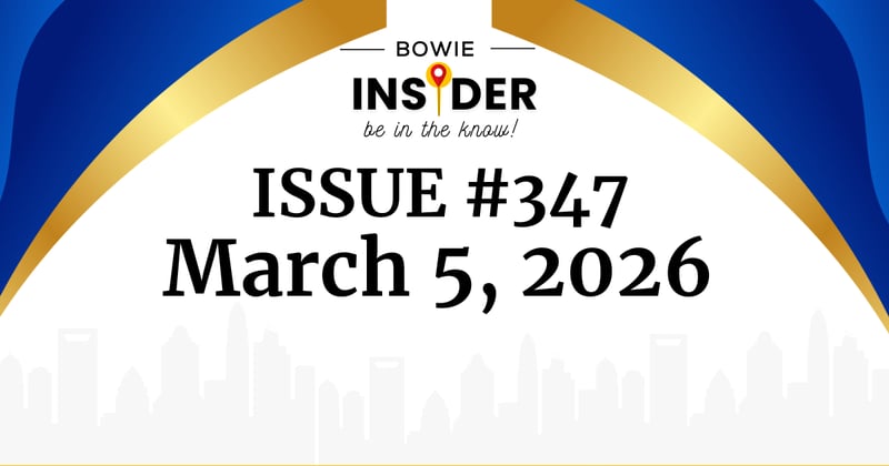 Bowie Insider Issue #347