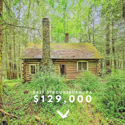 This Week on Instagram...