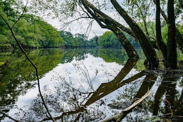 Your week starts here — easy spring plans around, ENC